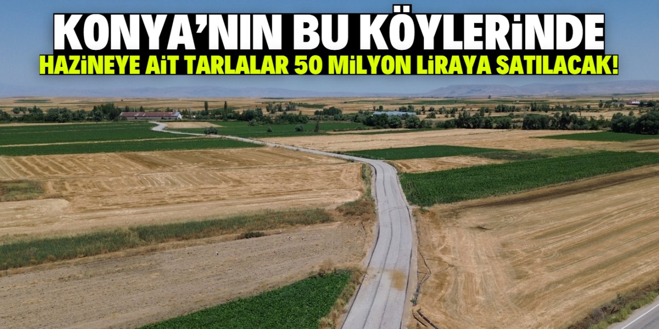 Konya'nın bu köylerinde devlete ait tarlalar satışa çıkarıldı! 50 milyon lira değerinde