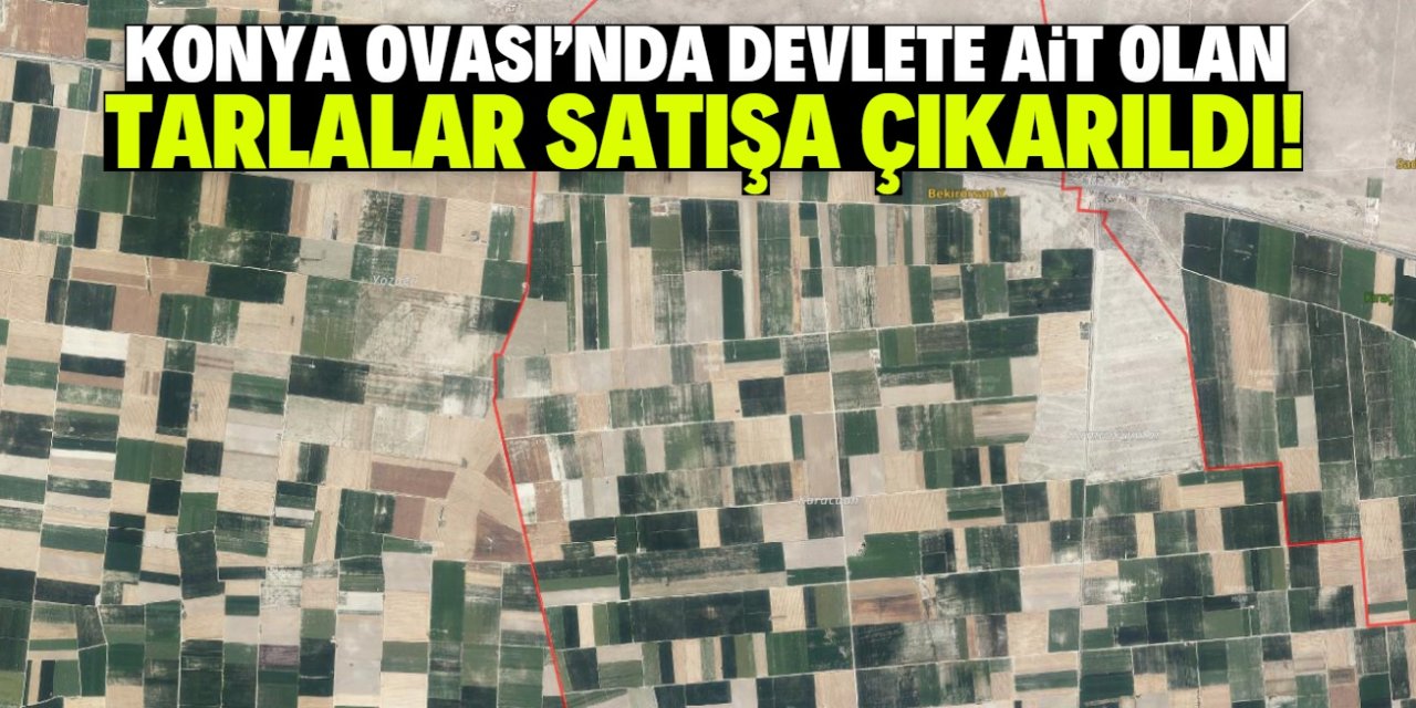 Konya Ovası'nda devlete ait tarlalar satışa çıkarıldı! Hepsi çok büyük