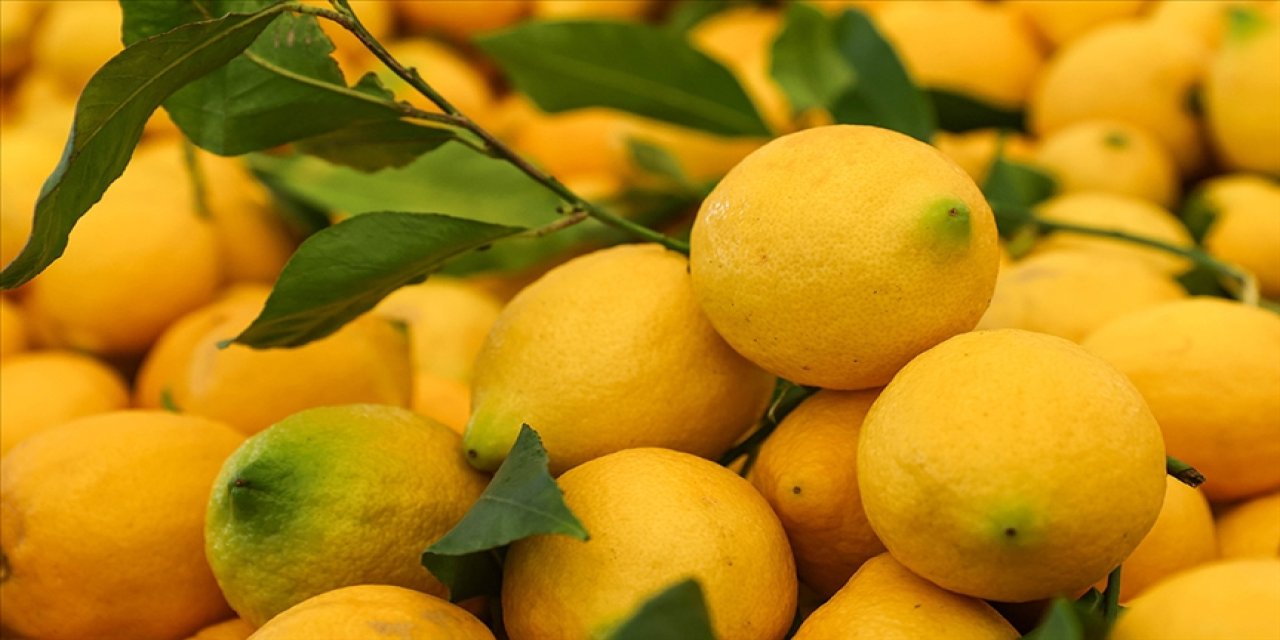 Temmuzda en çok limonun fiyatı arttı