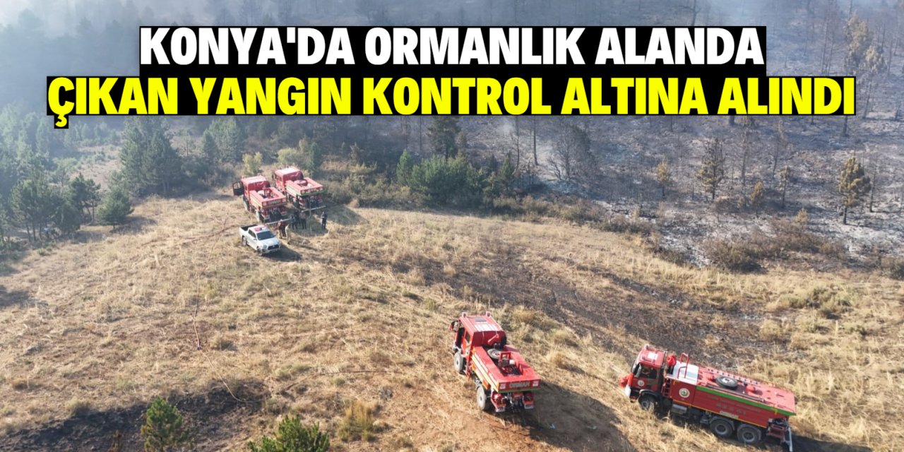 Konya'da ormanlık alanda çıkan yangın kontrol altına alındı