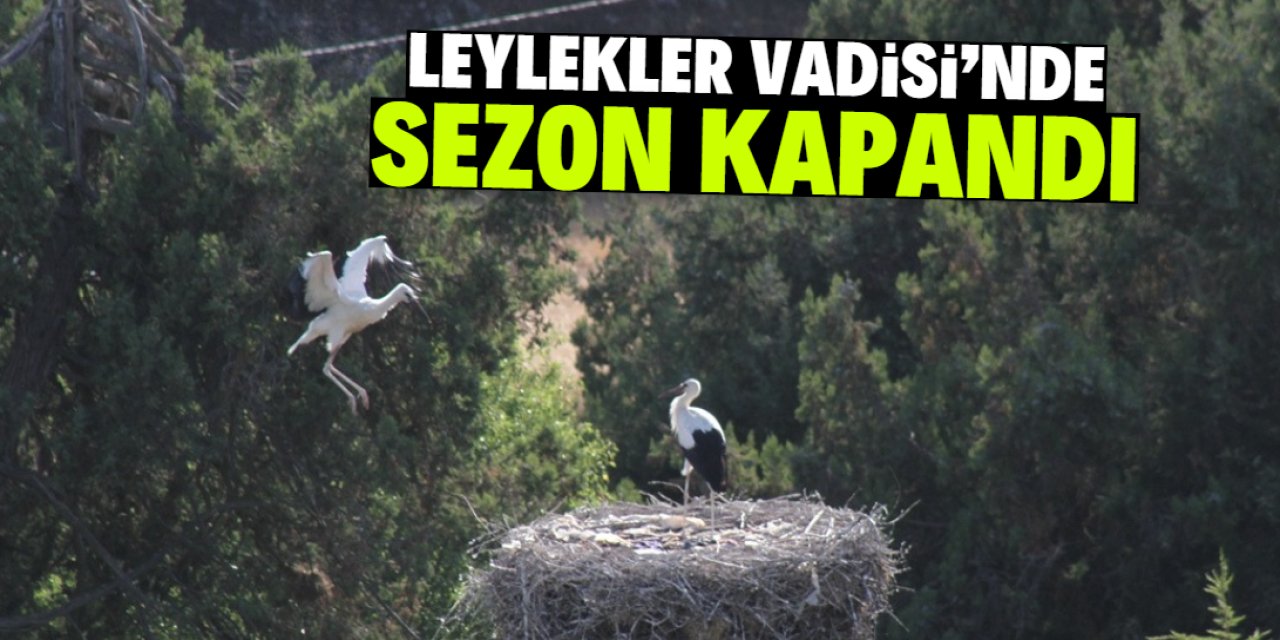 Konya'daki Leylekler Vadisi'nde sezon kapandı