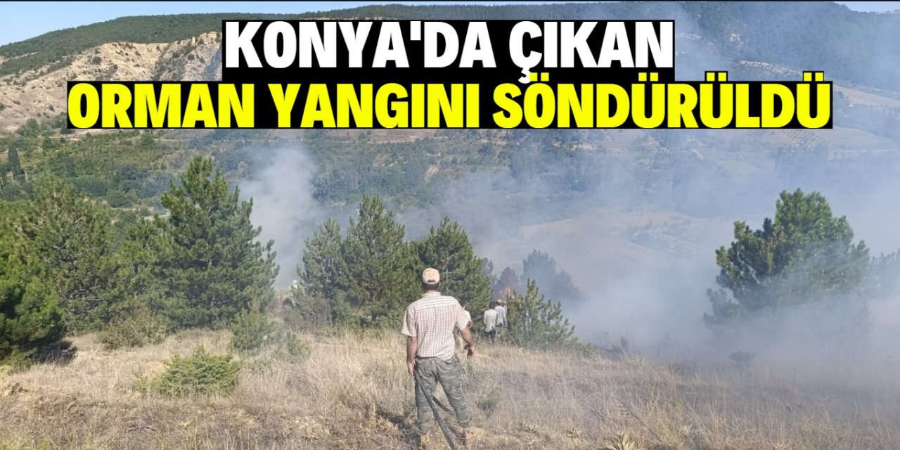 Konya'da çıkan orman yangını söndürüldü