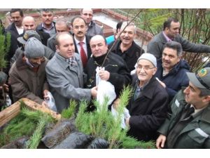 Bafra'da 2 Bin Adet Fidan Dağıtıldı