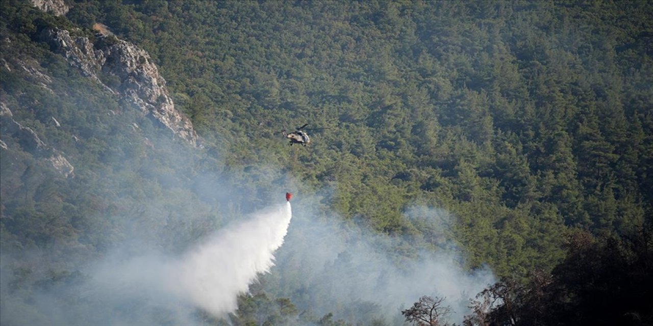 Orman yangınları alan olarak en çok İzmir ve Bolu'yu etkiledi