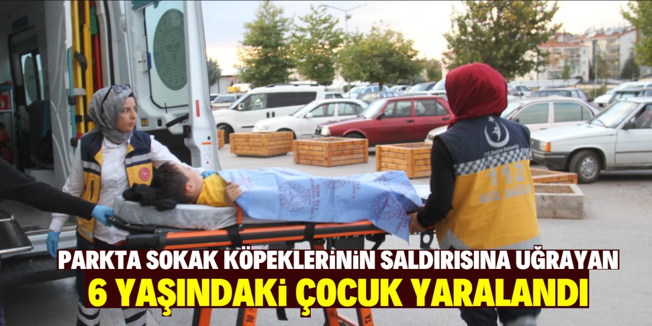 Konya'da parkta sokak köpeklerinin saldırısına uğrayan 6 yaşındaki çocuk yaralandı