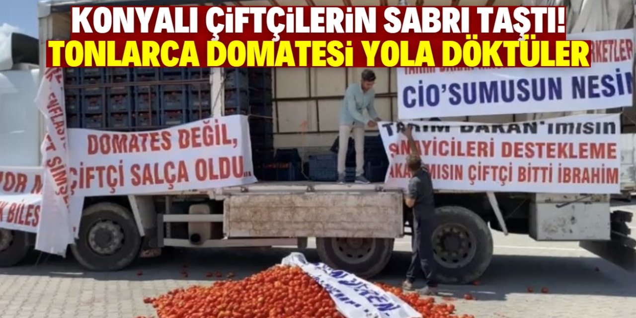 Konyalı çiftçilerin sabrı taştı! Tonlarca domatesi yola döktüler