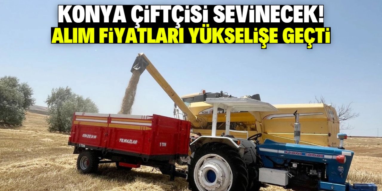 Konyalı çiftçilere güzel haber! Buğday, mısır ve arpanın fiyatı yükseliyor