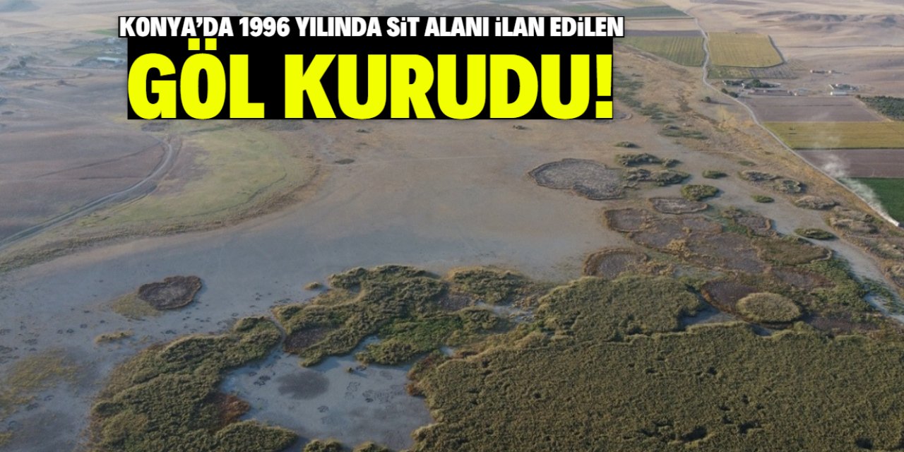 Konya'da çiftçiler suyu kesince göl kurudu! 1996 yılında sit alanı ilan edilmişti