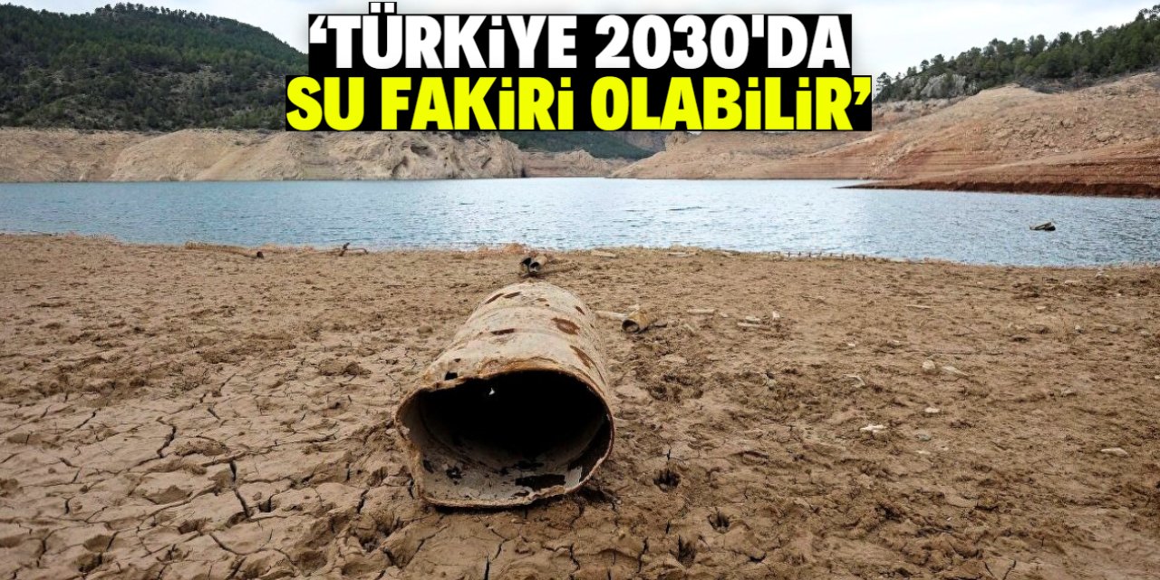 'Türkiye 2030'da su fakiri bir ülke olabilir'