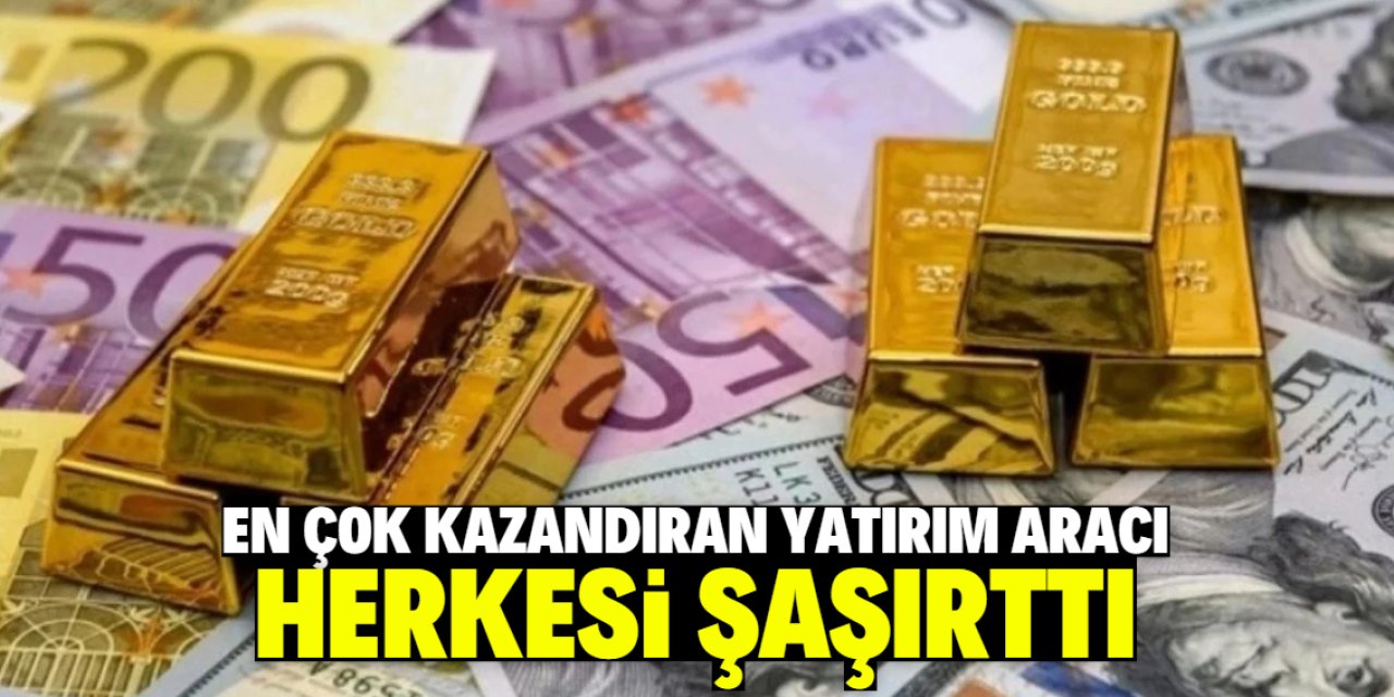 En çok kazandıran yatırım aracı şaşırttı