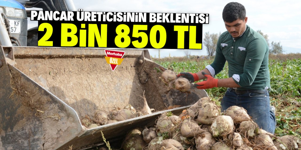 Pancar üreticisi alım fiyatının açıklanmasını istiyor! Beklenti 2 bin 850 TL