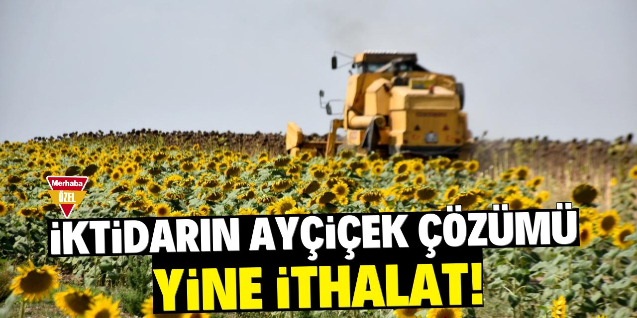 İktidarın Ayçiçek çözümü: Yine ithalat!