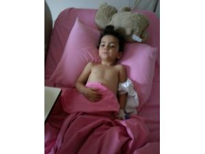 Göz Muayenesi İçin Gitti, Lösemi Olduğu Ortaya Çıktı