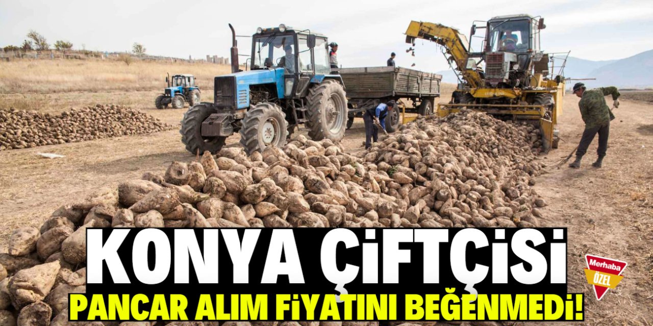 Konya çiftçisi pancar alım fiyatını beğenmedi!