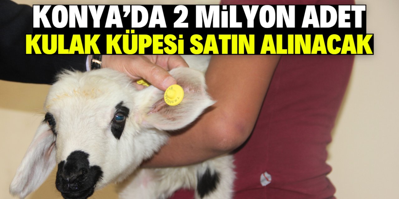 Konya'da 2 milyon adet kulak küpesi satın alınacak