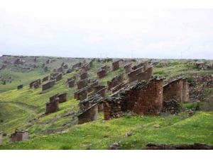 Gesi Bölgesi Botanik Park Oluyor