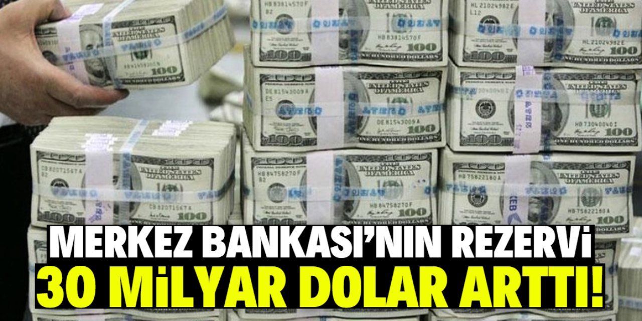 Merkez Bankası'nın rezervi 30 milyar dolar arttı