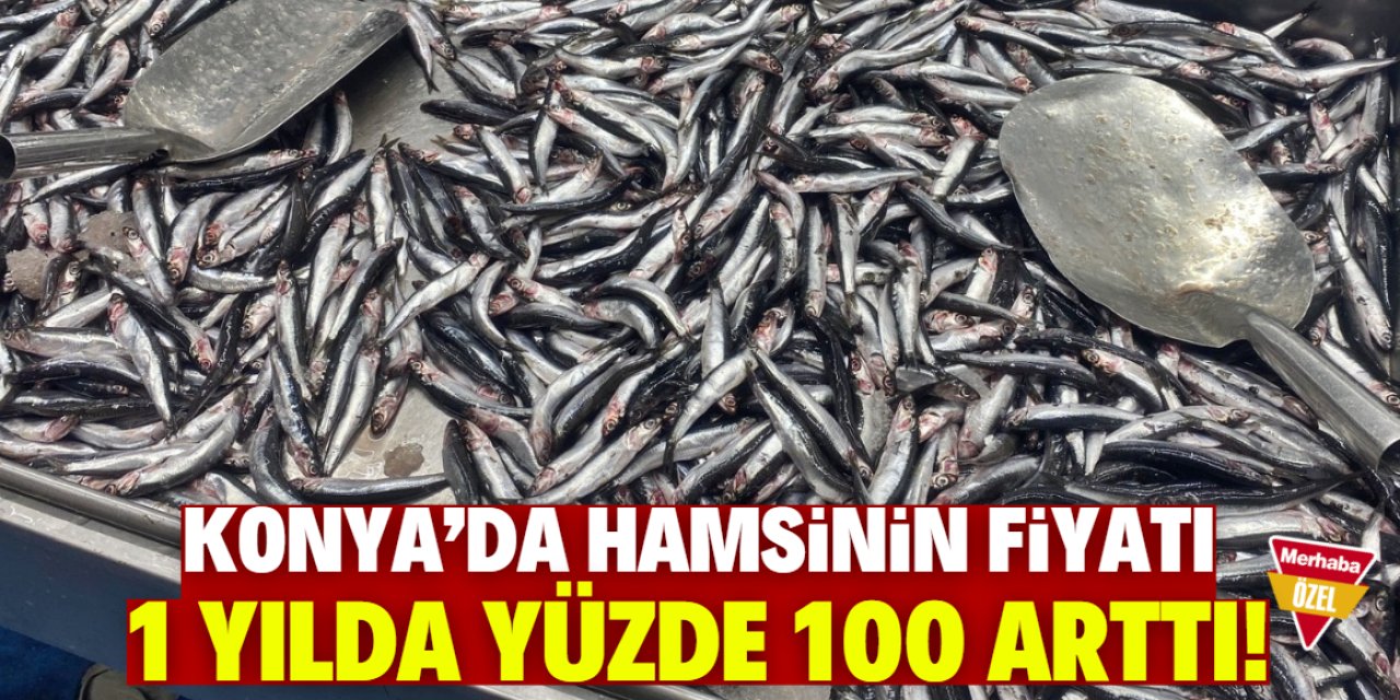 Konya'da kilo kilo hamsi alma dönemi sona erdi! Yüzde 100 zam geldi