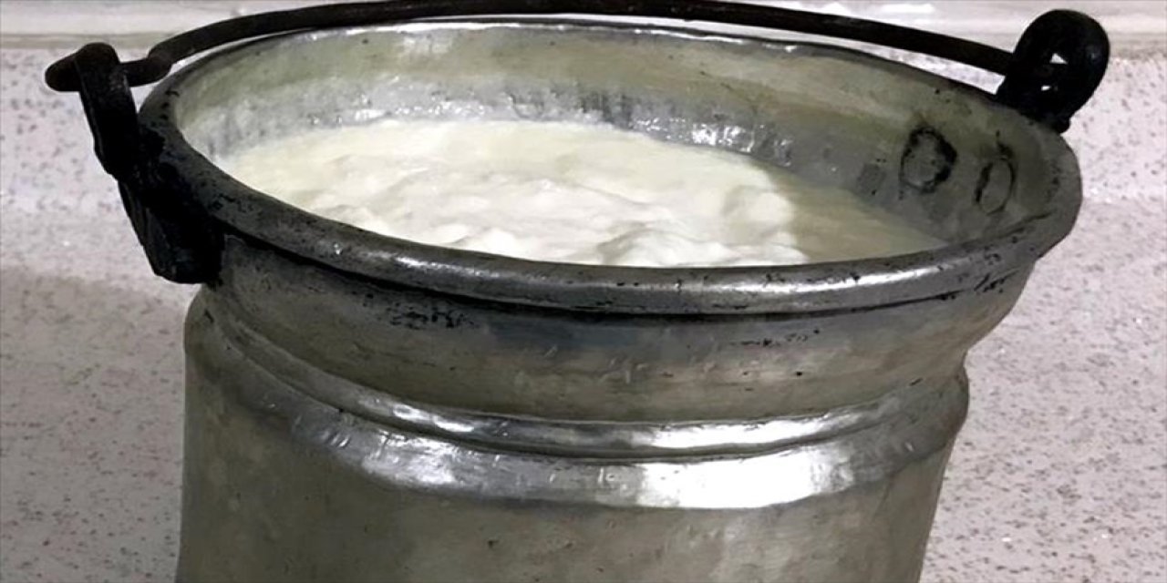 Araştırmacılar yaklaşık 3 bin 500 yıllık mumyalarda kefir peynirinin izlerine rastladı