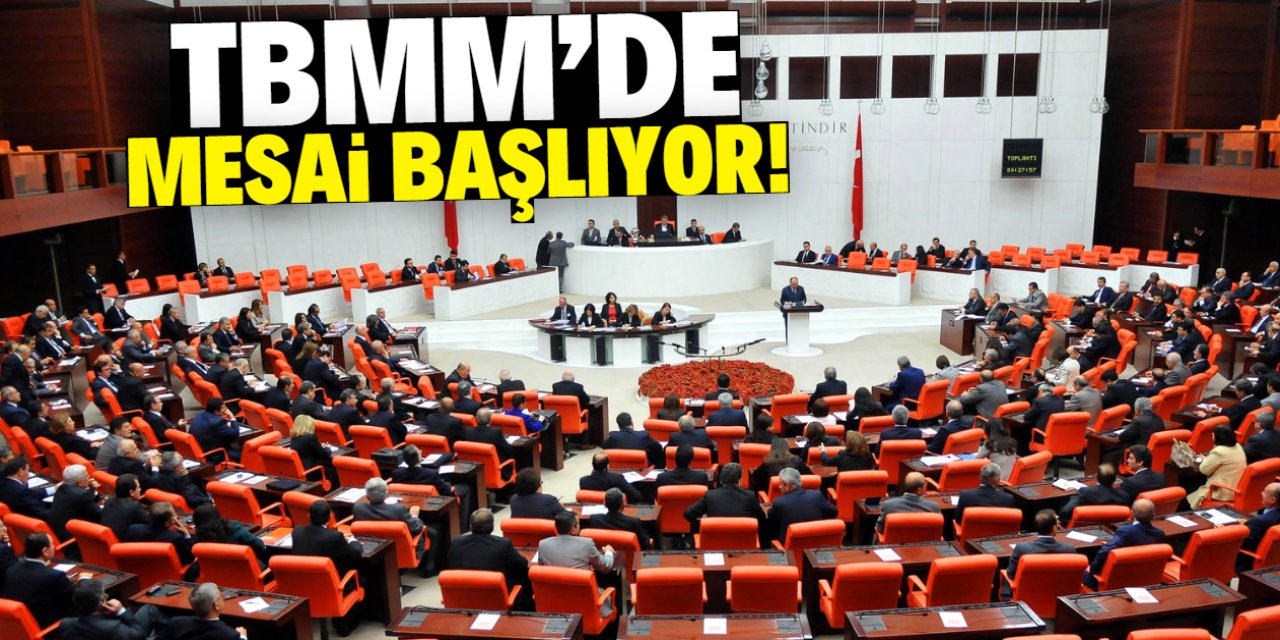 TBMM'de mesai başlıyor! Gündemde bu konular var