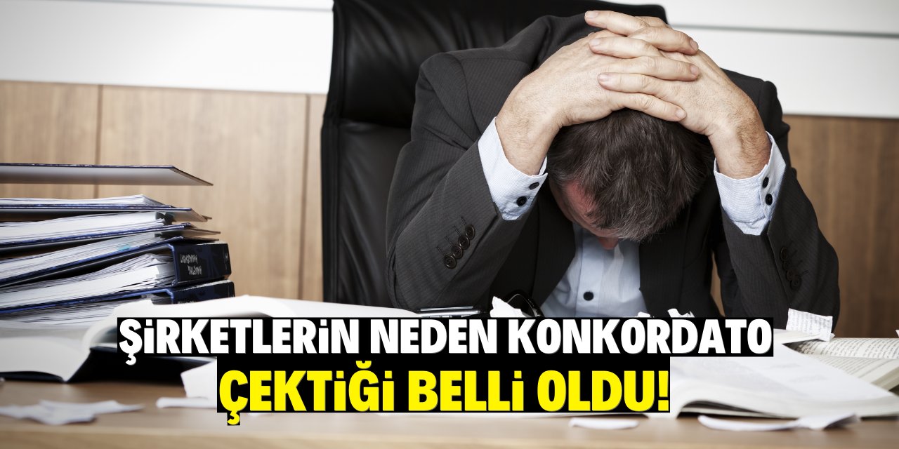 Şirketlerin neden konkordato çektiği belli oldu!