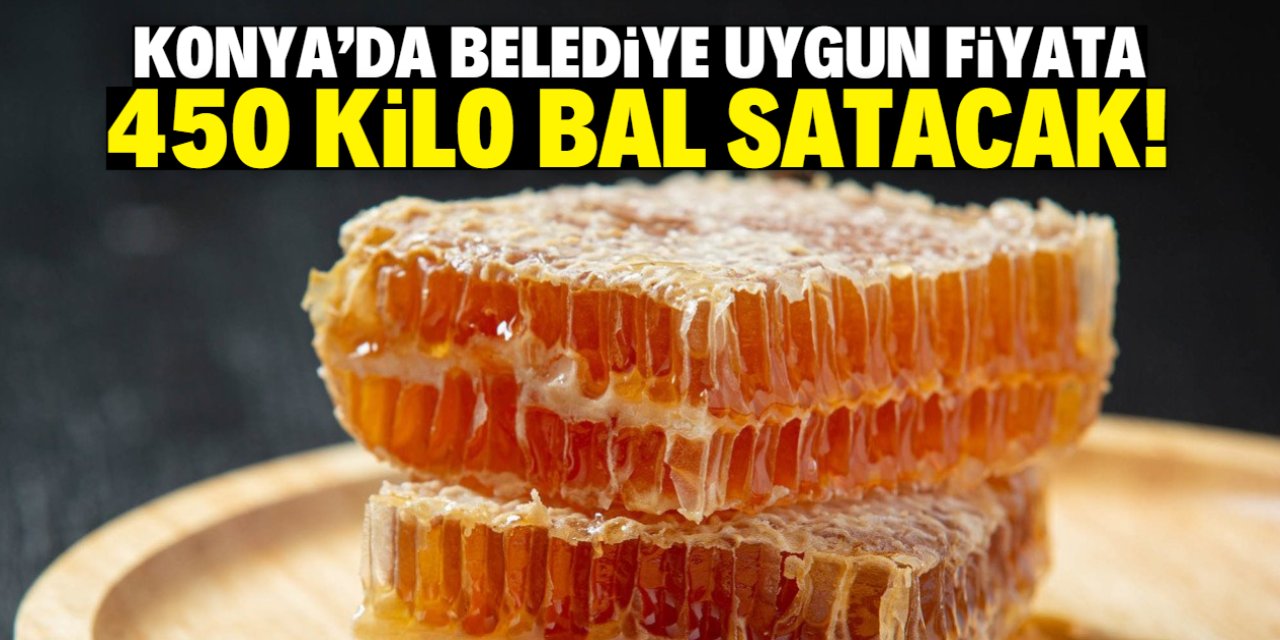 Konya'da belediye 450 kilo doğal bal satacak! Fiyatı uygun