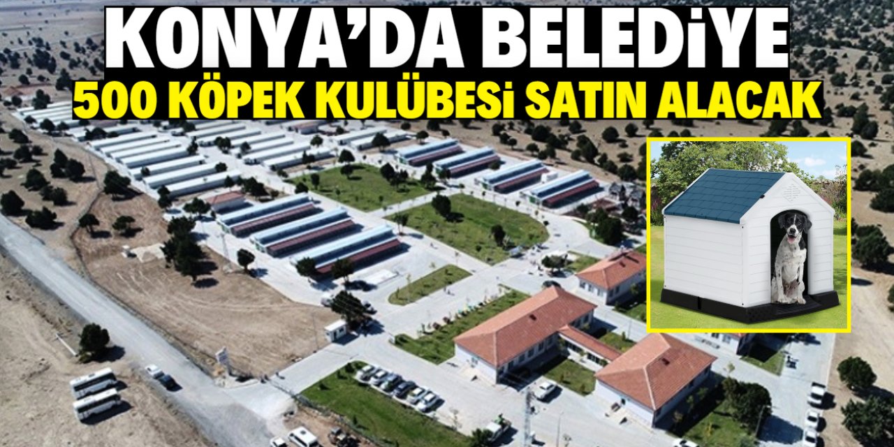 Konya'da belediye 500 köpek kulübesi satın alacak