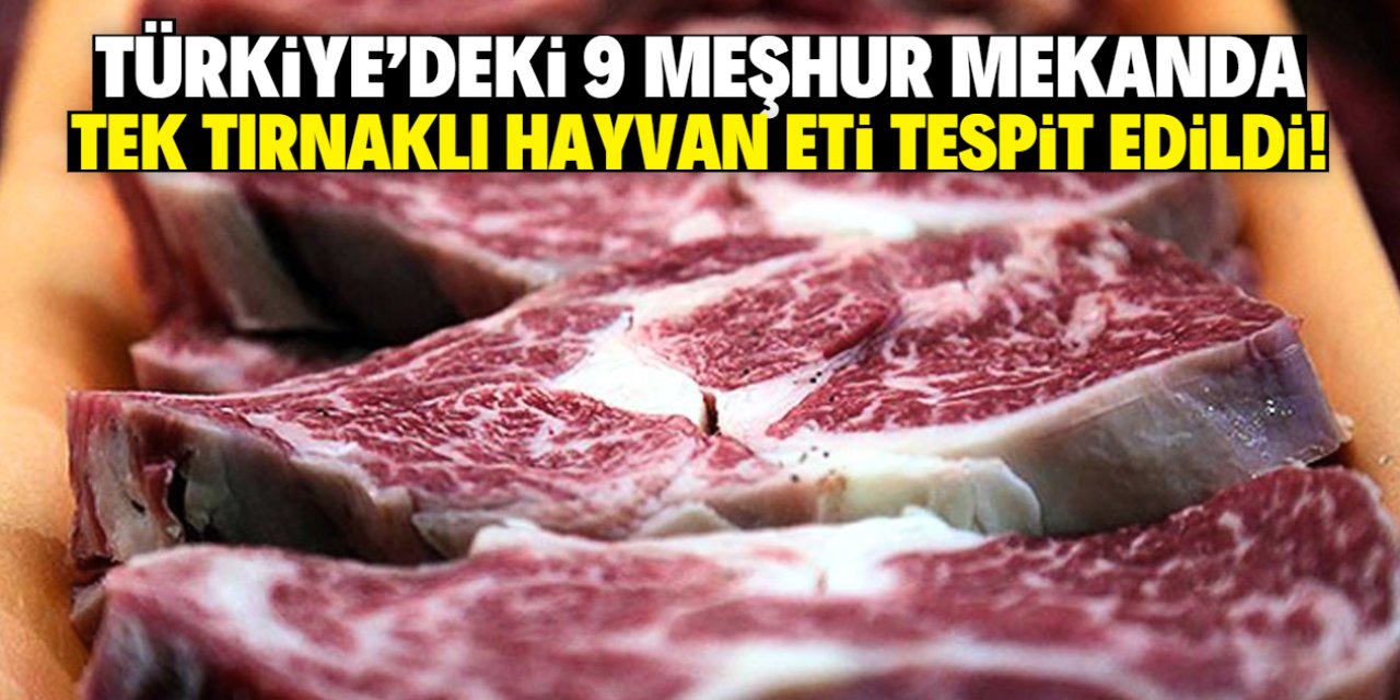 Türkiye'de 9 meşhur kasap ve restoranda 'tek tırnaklı hayvan eti' tespit edildi! İşte isimleri