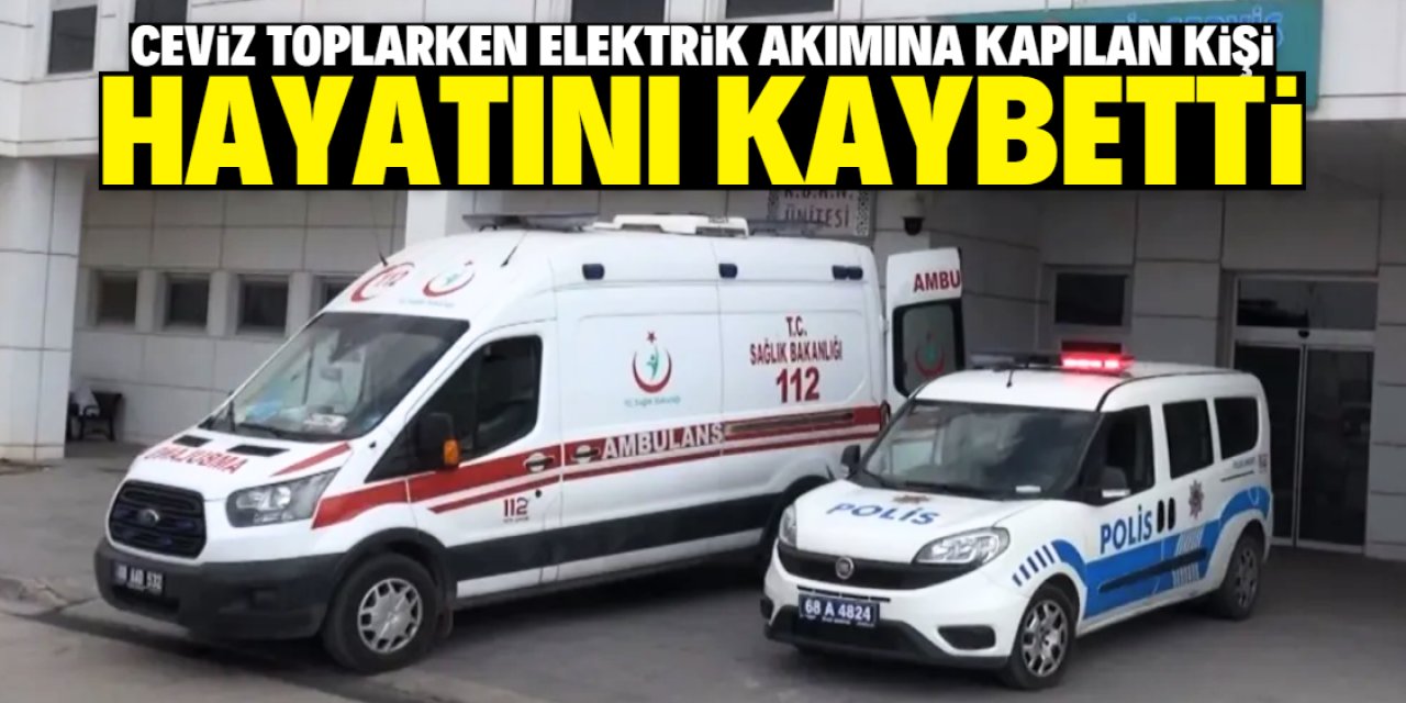 Aksaray'da ceviz toplarken elektrik akımına kapılan kişi öldü