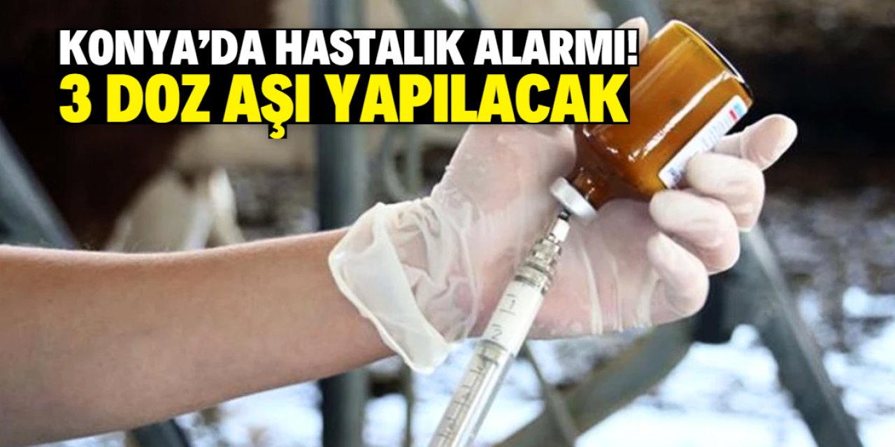 Konya'da hastalık alarmı! 3 doz aşı kampanyası başladı