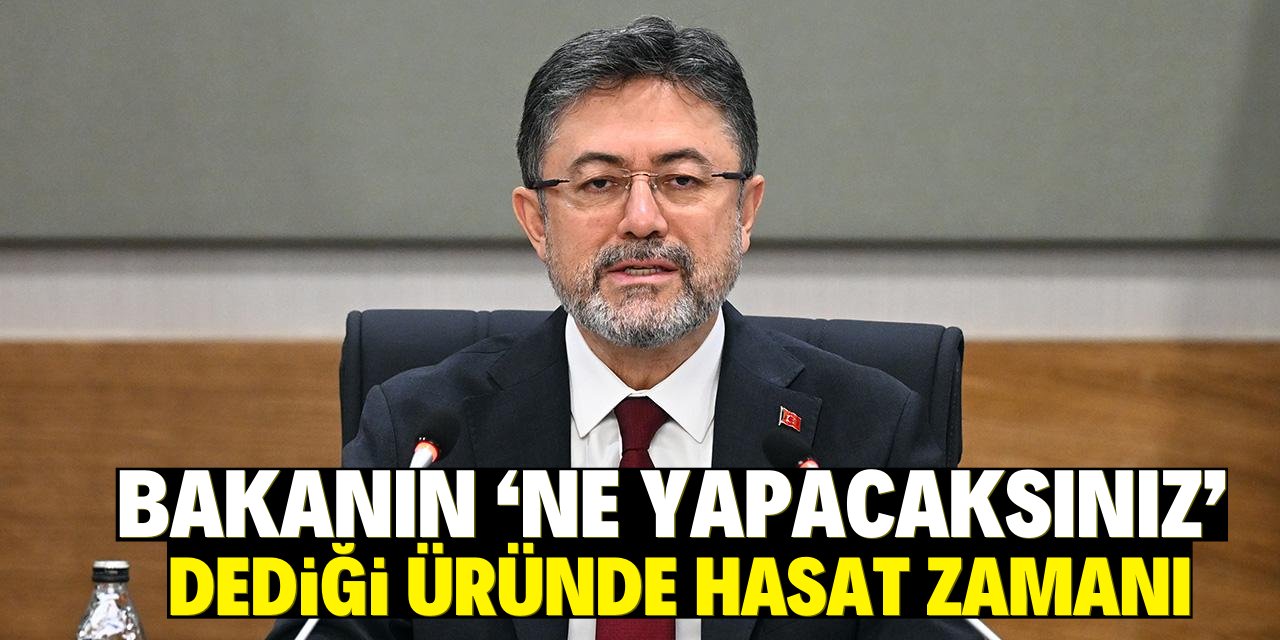 Bakanın ‘ne yapacaksınız’   dediği üründe hasat zamanı