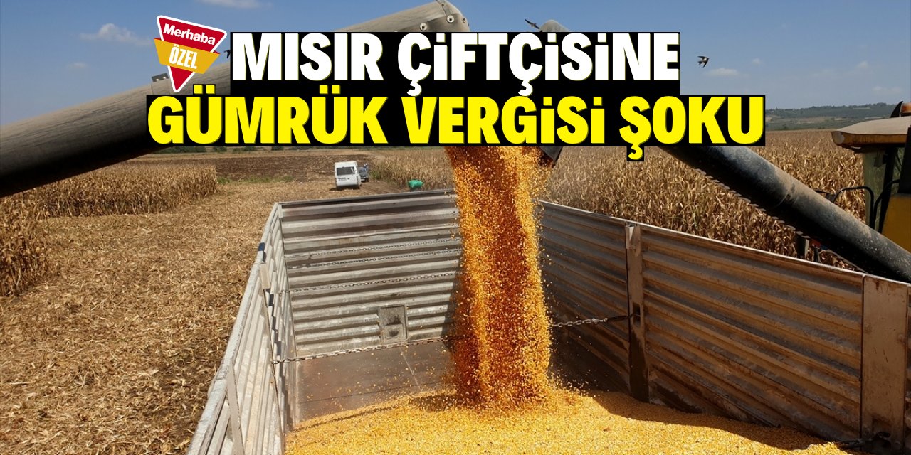 Mısır çiftçisine gümrük vergisi şoku