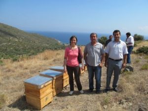 Muğla'da Organik Bal Üreticileri Sertifikalanıyor