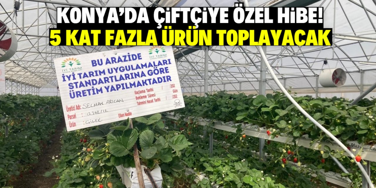 Konya'da devlet çiftçiye özel bir hibe verdi! 5 kat fazla ürün toplayacak