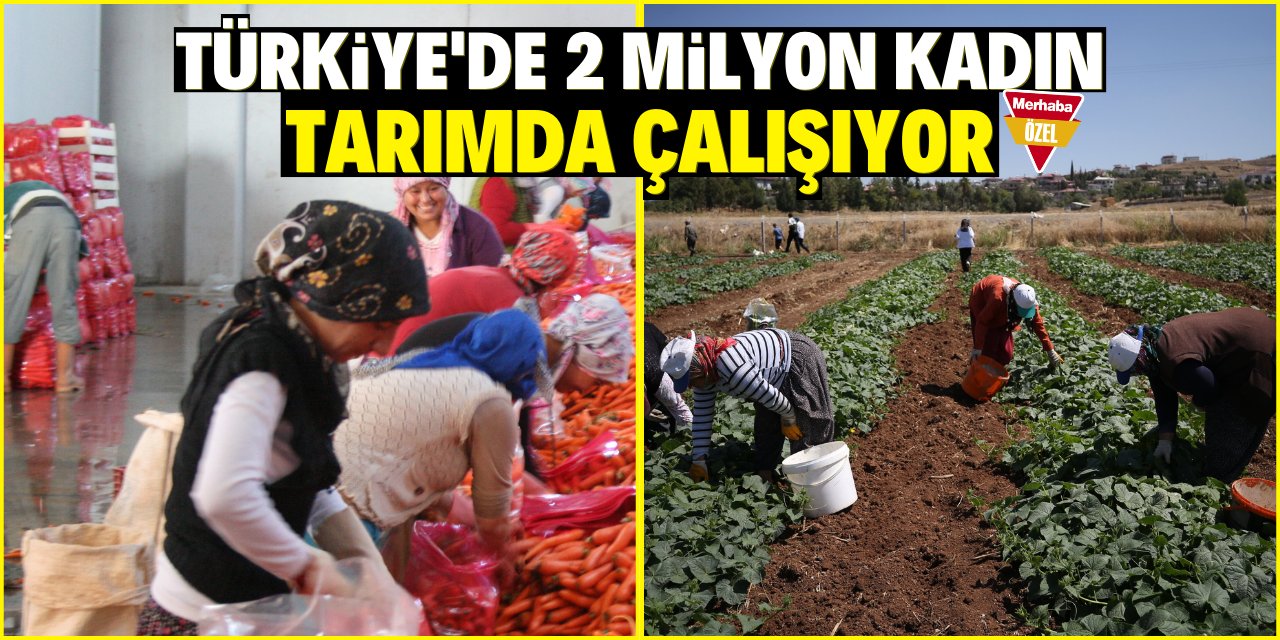 Türkiye'de 2 milyon kadın tarımda çalışıyor! Üretime büyük katkı sağlıyorlar