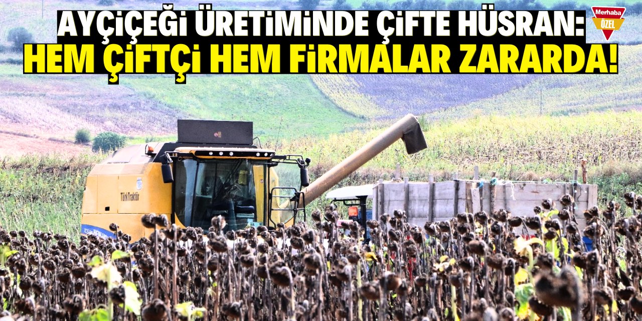 Ayçiçeği üretiminde çifte hüsran: Hem çiftçi hem firmalar zararda!