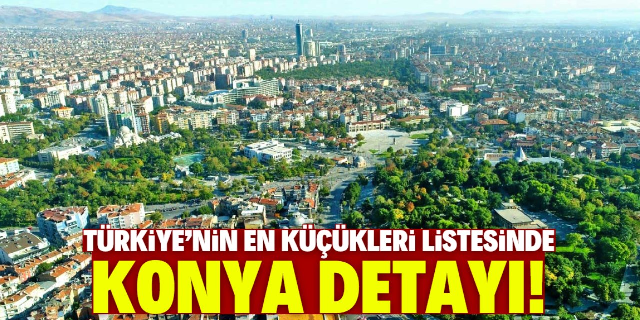 Türkiye'nin en küçükleri listesinde Konya detayı! Son sıradayız