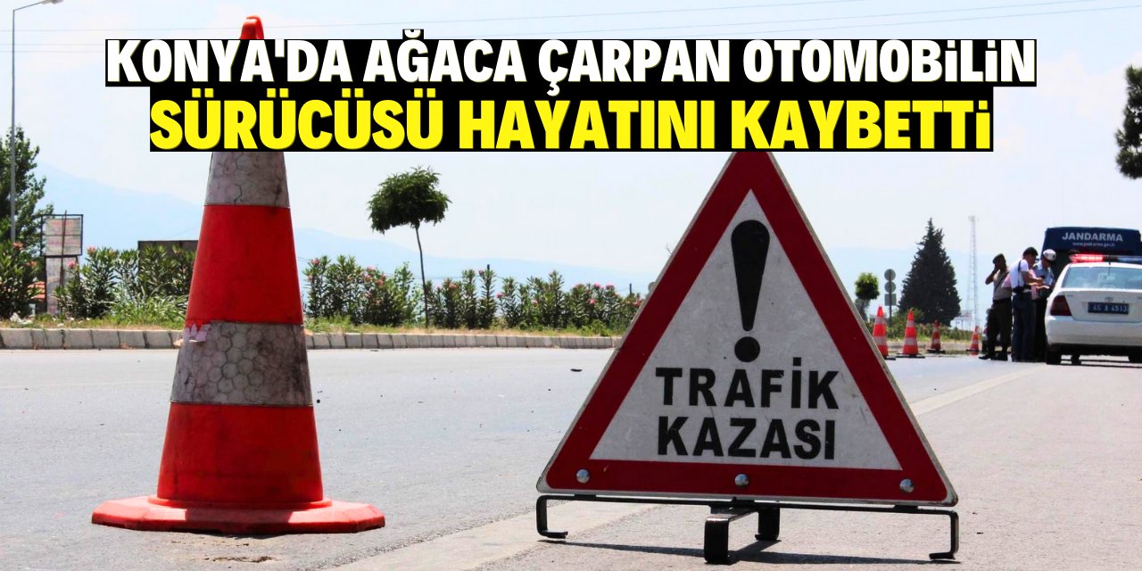 Konya'da ağaca çarpan otomobilin sürücüsü hayatını kaybetti