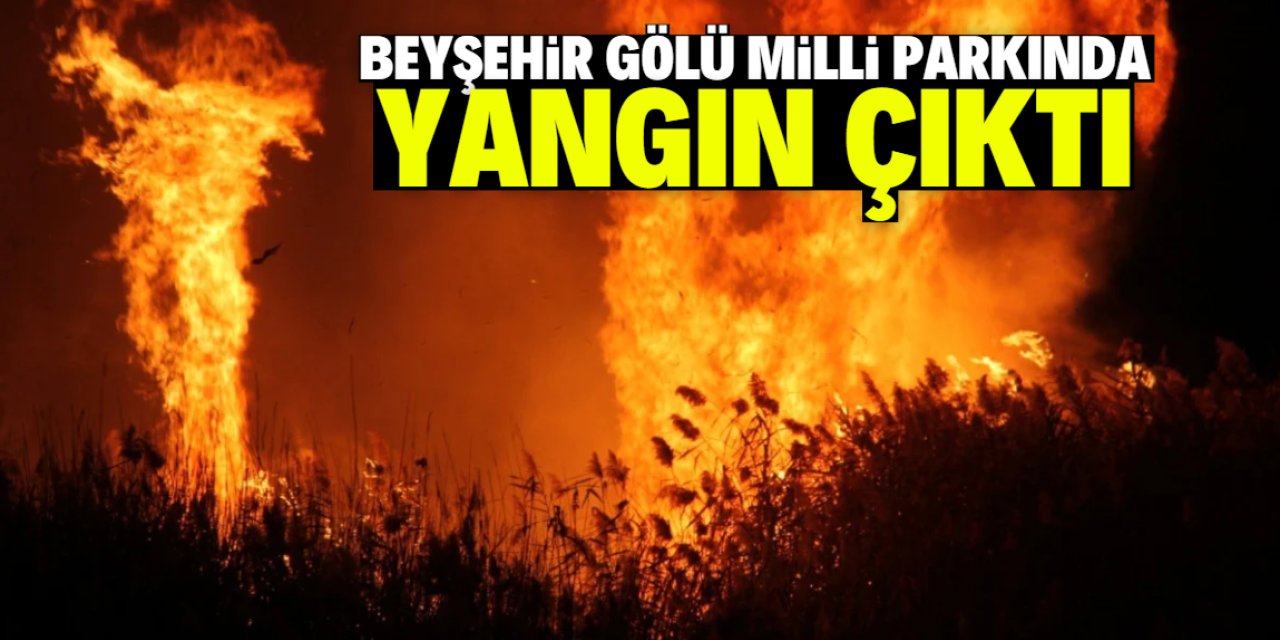 Beyşehir Gölü Milli Parkı'nda yangın çıktı