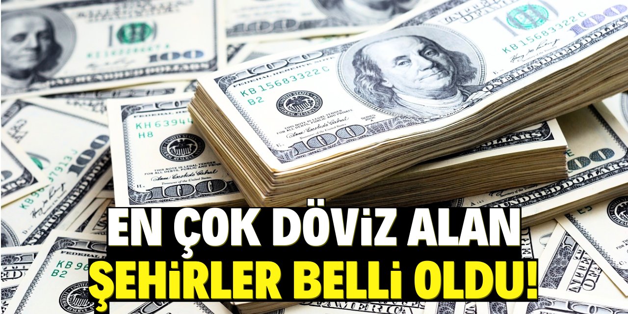 Türkiye'de en çok döviz alan şehirler belli oldu