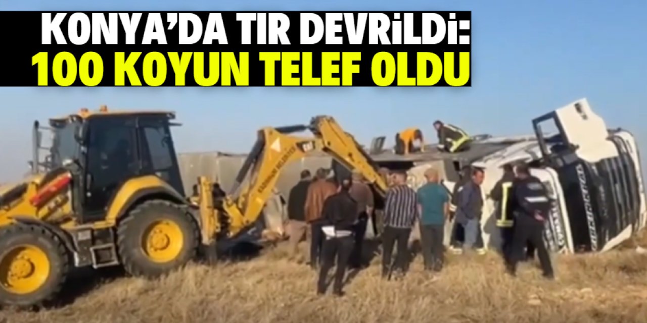 Konya'da devrilen tırdaki 100 koyun telef oldu