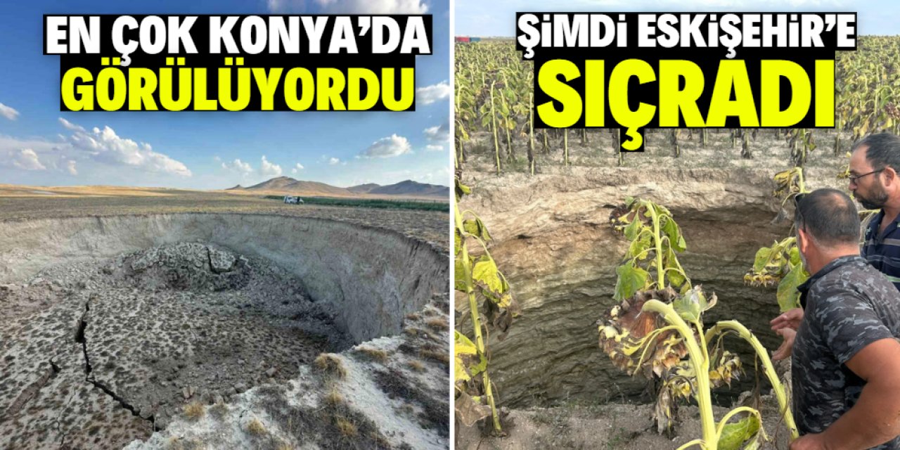 En çok Konya'da görülüyordu! Şimdi Eskişehir'e sıçradı