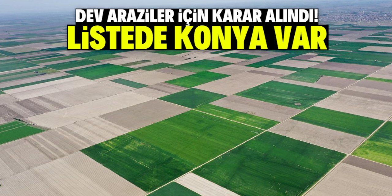 Bu tarım arazileri için karar alındı! Listede Konya var