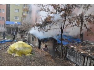 Tunceli'deki Yangında İki İnek Son Anda Kurtarıldı