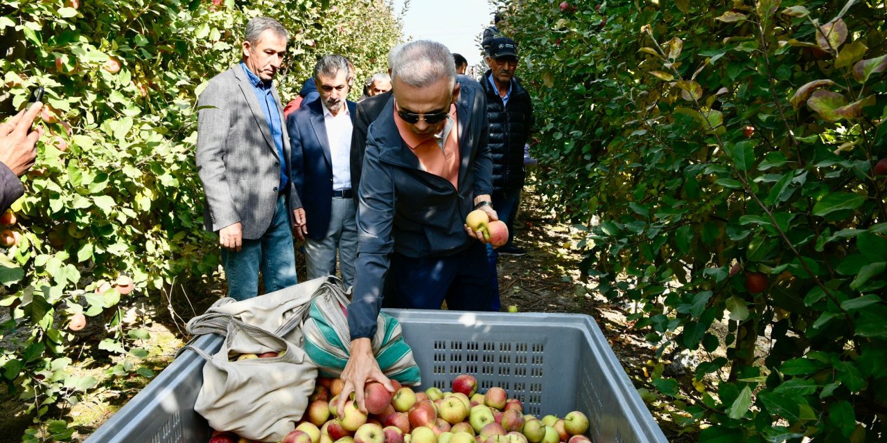 Karaman elma üretiminde ilk üç il arasında