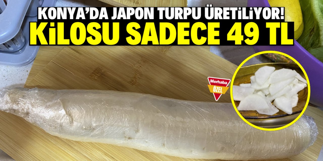 Konya'da Japon turpu üretilmeye başlandı! Yerken bal tadı alıyorsunuz