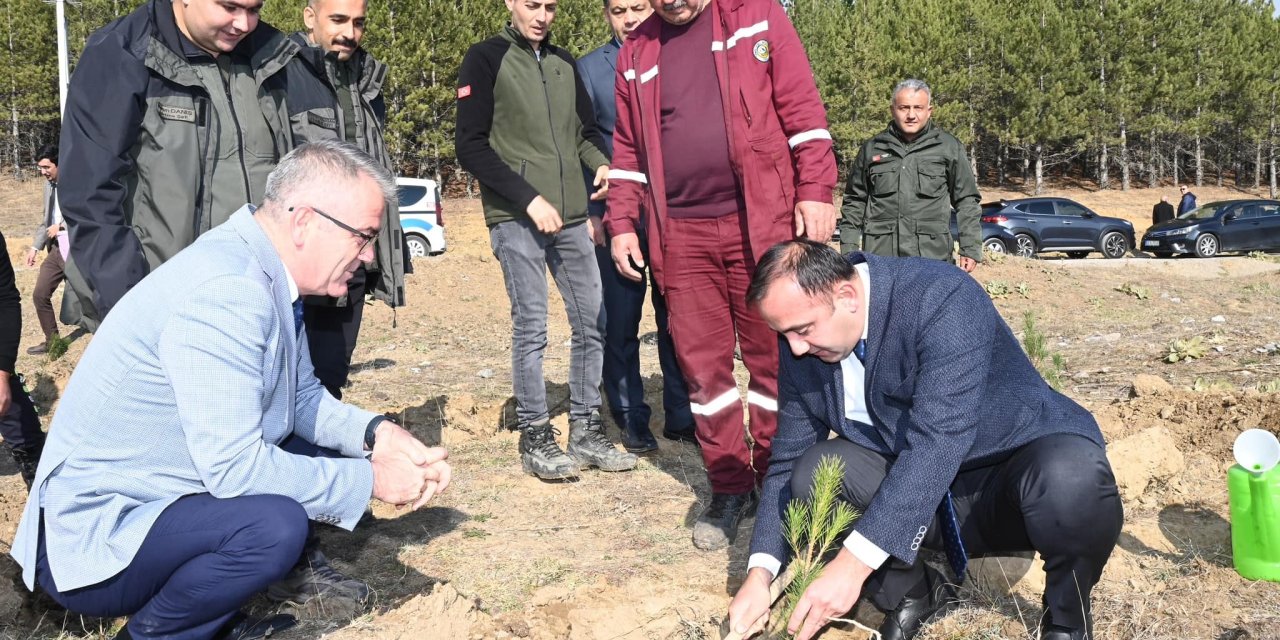 ‘Daha yaşanabilir çevre  için ormanlar korunmalı’