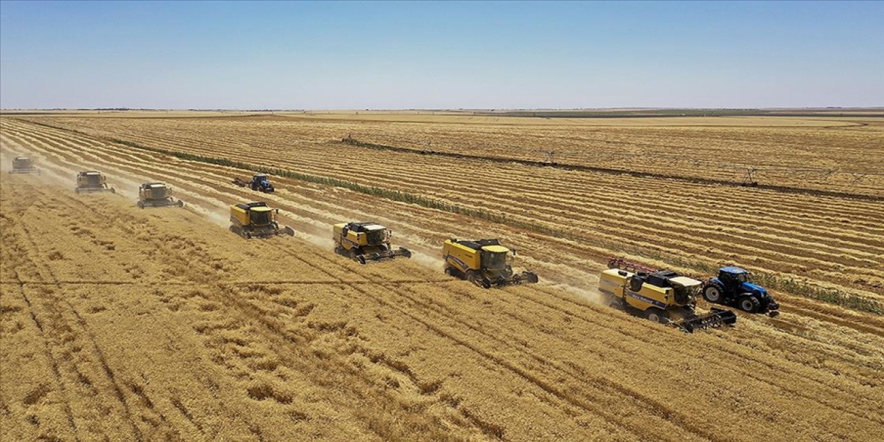 Tarım ve Orman Bakanlığı'ndan 33 Soruda üretim rehberi