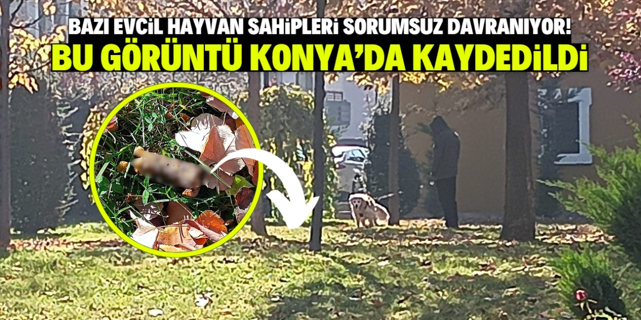 Konya'da yeşil alanı tuvalete çevirdiler! Skandal görüntü