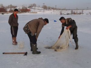 Ekmeklerini, Buzun Altından Çıkarıyorlar